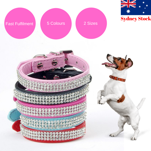 collars for dogs