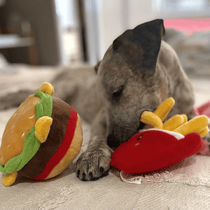 Burger Bonanza: The Squeaky Hamburger Dog Toy